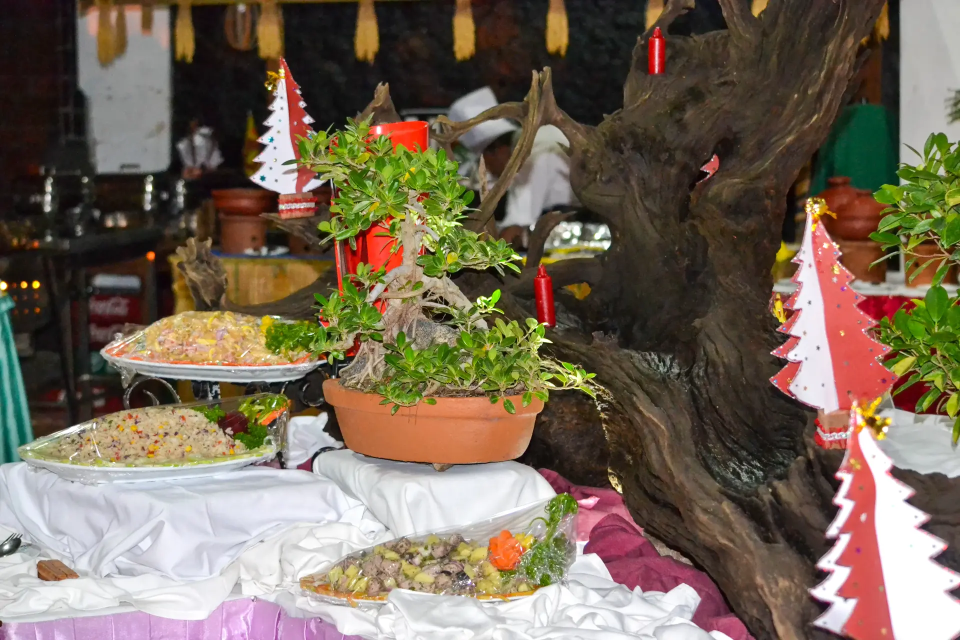 Romantic Beach Honeymoon in Sri Lanka