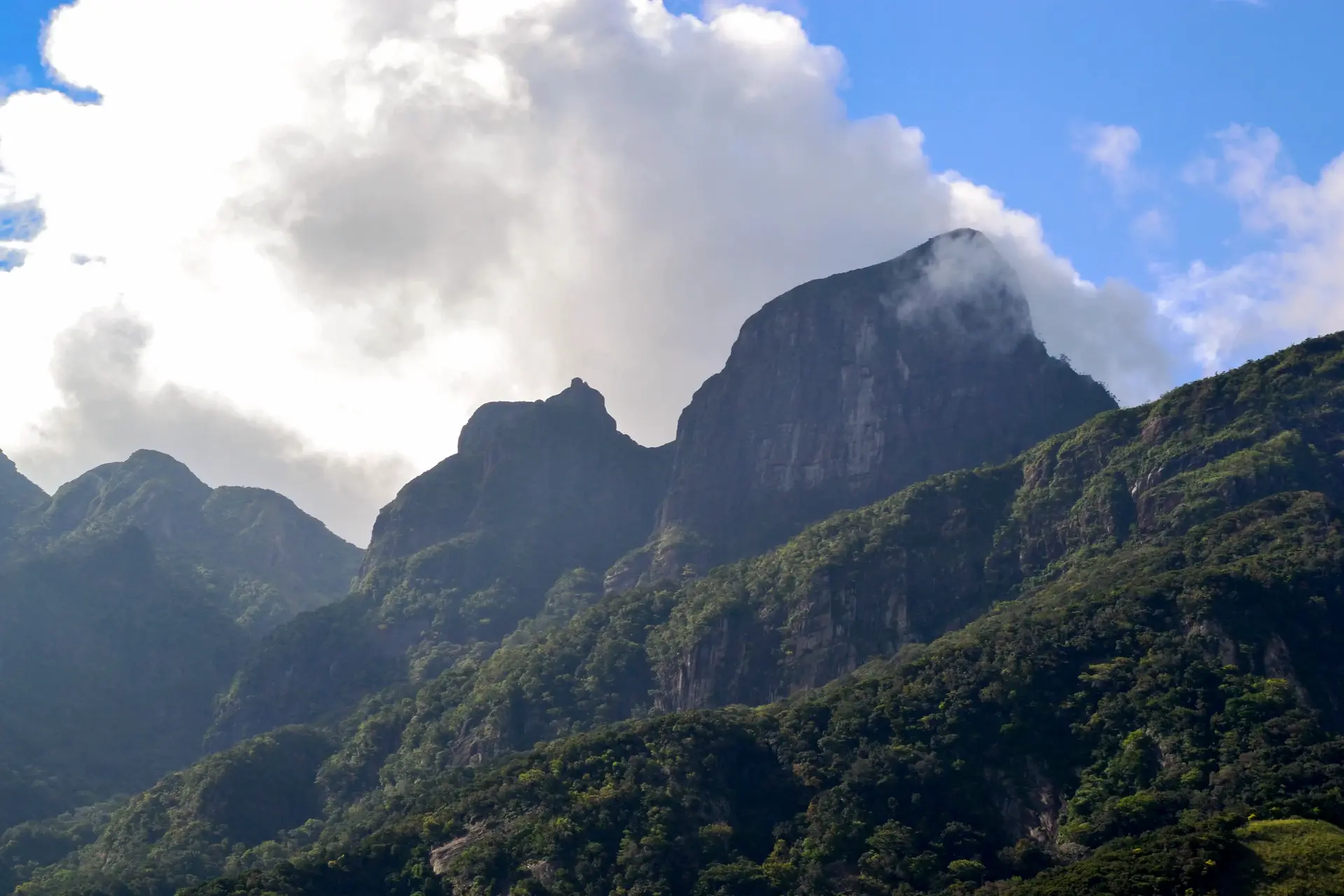 Knuckles Mountain Range – Cloud Forest