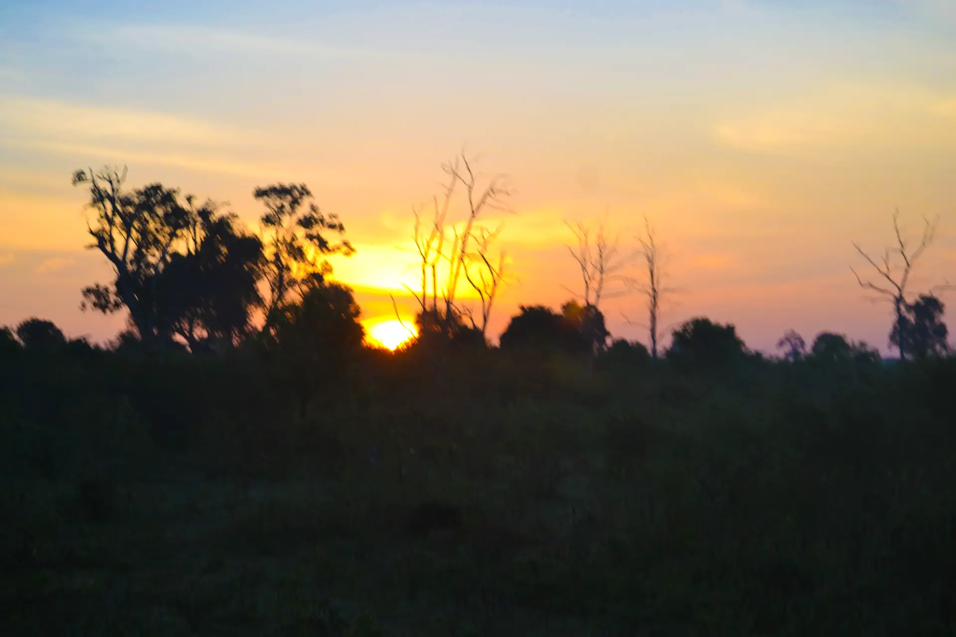 Golden Hour Landscape Sri Lanka